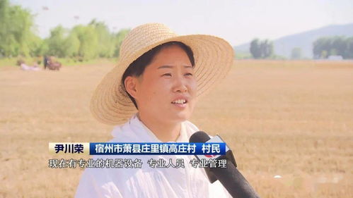 安徽 農(nóng)機(jī)社會(huì)化服務(wù)助力夏收提速提質(zhì)，技術(shù)推廣是關(guān)鍵